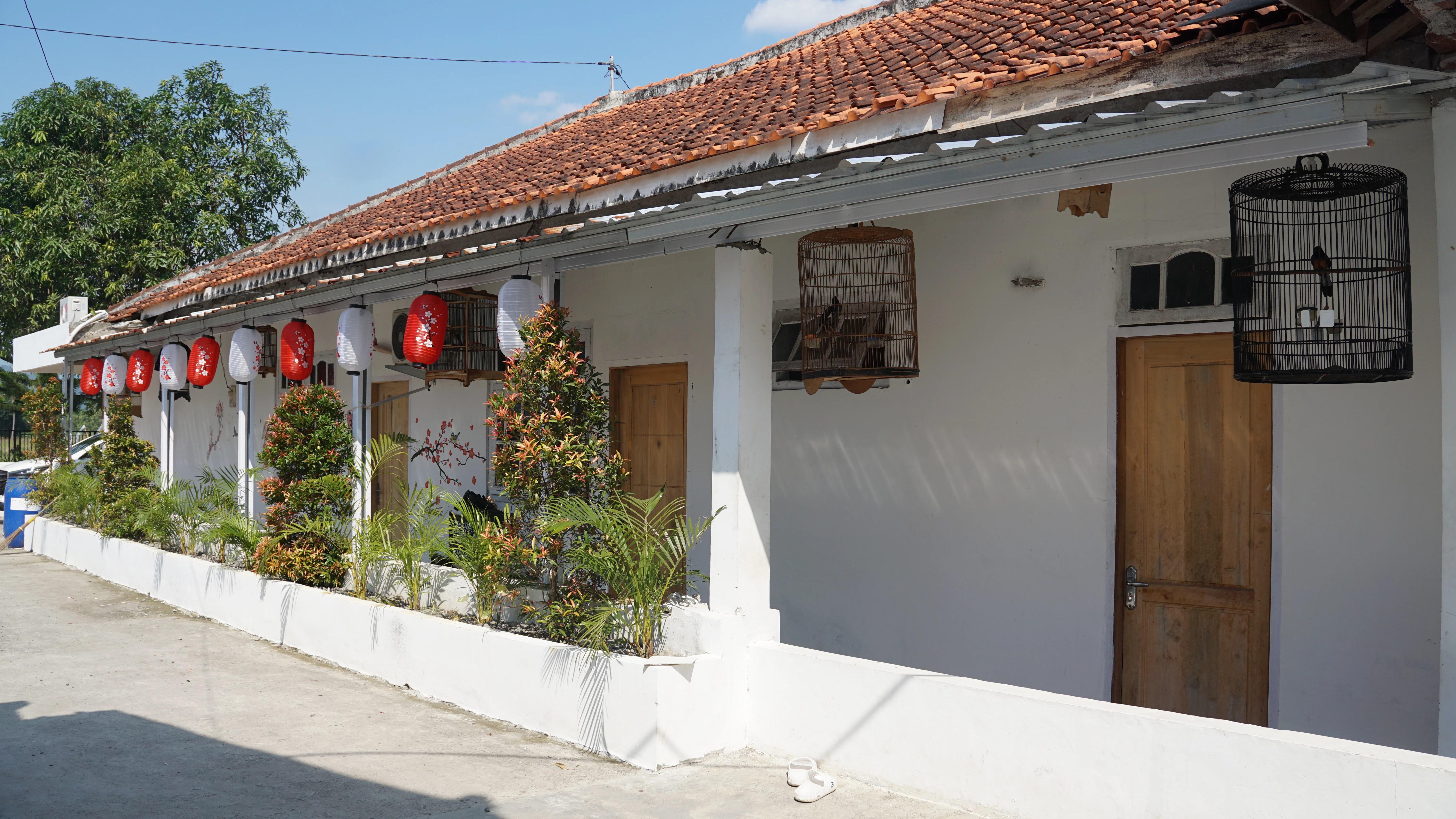 Asrama Siswa Passion Japan: Hunian Nyaman dan Disiplin Bergaya Jepang